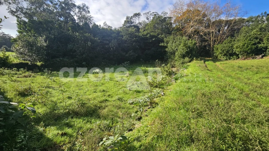 Terreno para Venda em Fajã de Baixo Foto 14