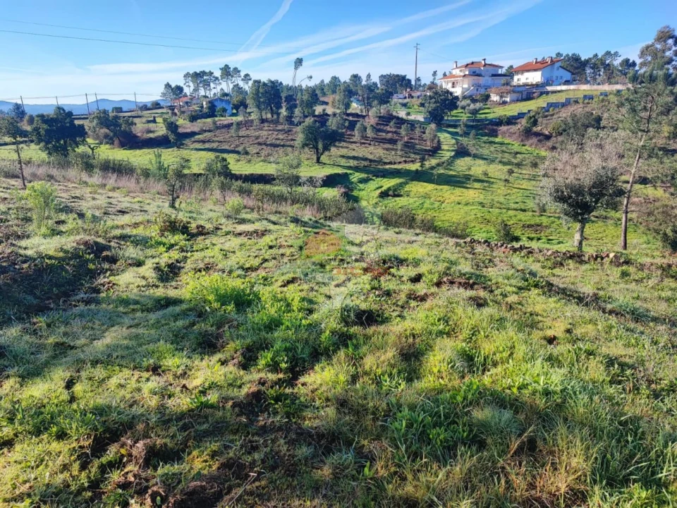 Quinta T3 para Venda em Cumeada e Marmeleiro Foto 42