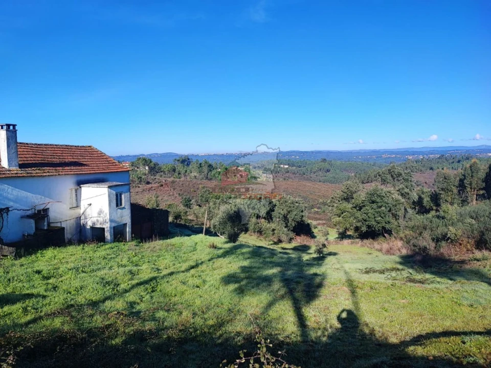 Quinta T3 para Venda em Cumeada e Marmeleiro Foto 46