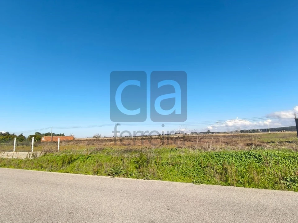 Terreno para Venda em Alpiarça Foto 2