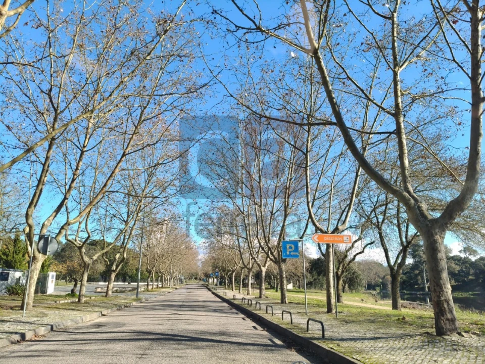 Terreno para Venda em Alpiarça Foto 12