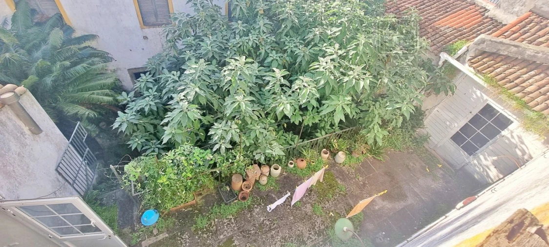 Moradia T6 para Venda em Ponta Delgada (São Sebastião) Foto 13