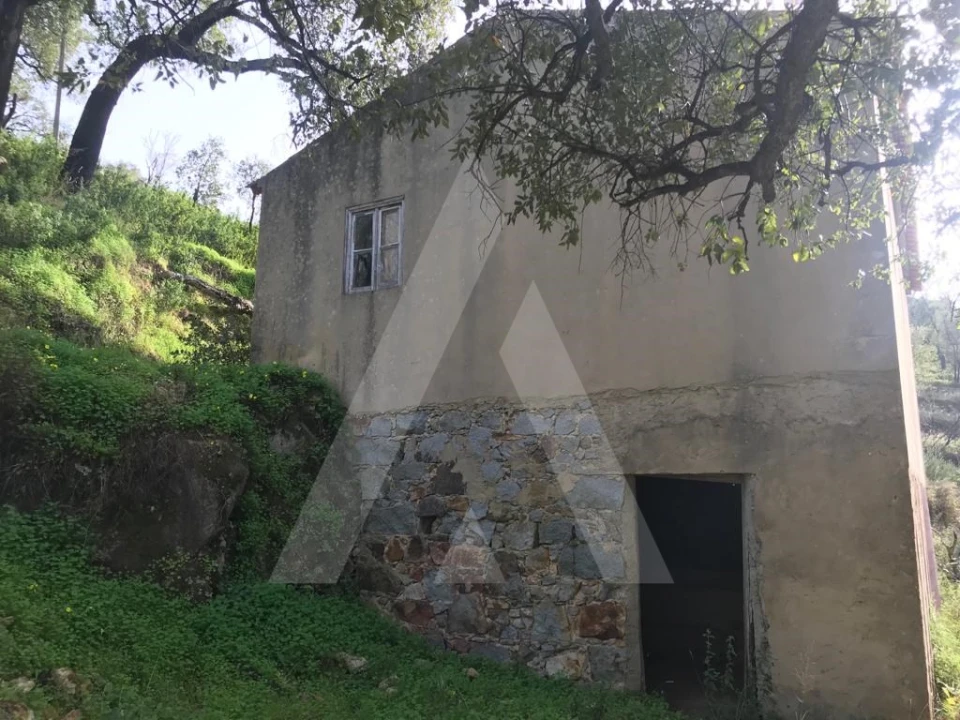 Terreno para Venda em Monchique Foto 7