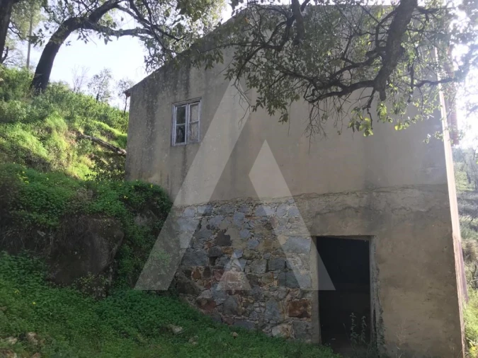 Terreno para Venda em Monchique Foto 7