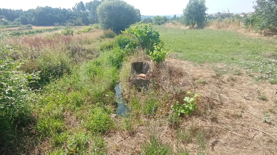 Quinta T1 para Venda em Orjais Foto 6