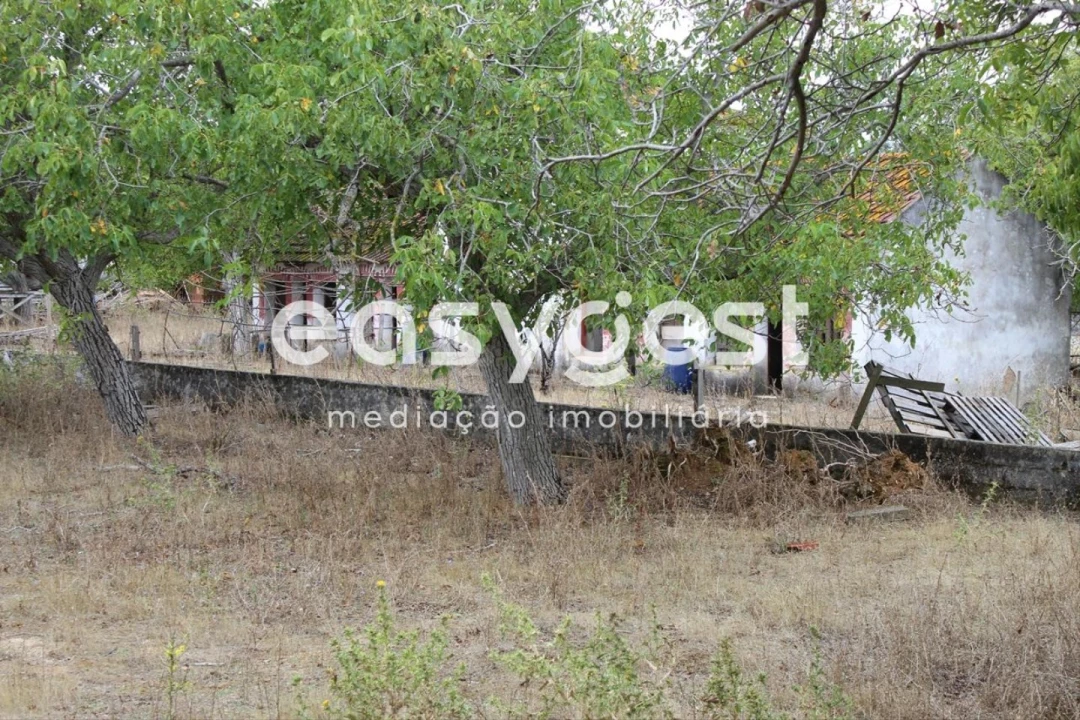 Quinta T9 para Venda em Alcanena e Vila Moreira Foto 11