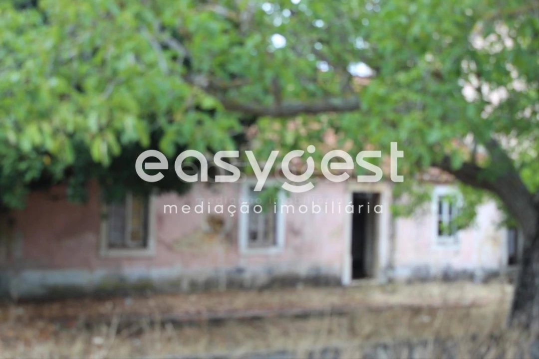 Quinta T9 para Venda em Alcanena e Vila Moreira Foto 15