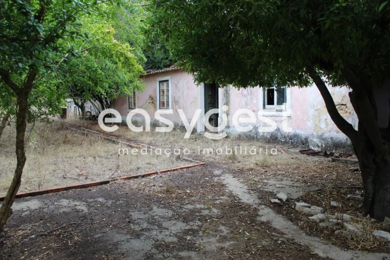 Quinta T9 para Venda em Alcanena e Vila Moreira Foto 9