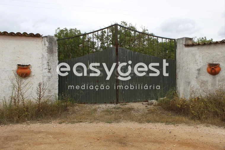 Quinta T9 para Venda em Alcanena e Vila Moreira Foto 13