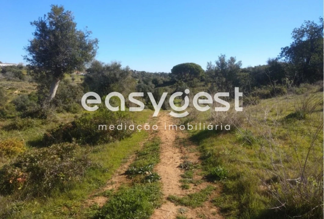Terreno Agricola ou Rústico para Venda em Pego Foto 1