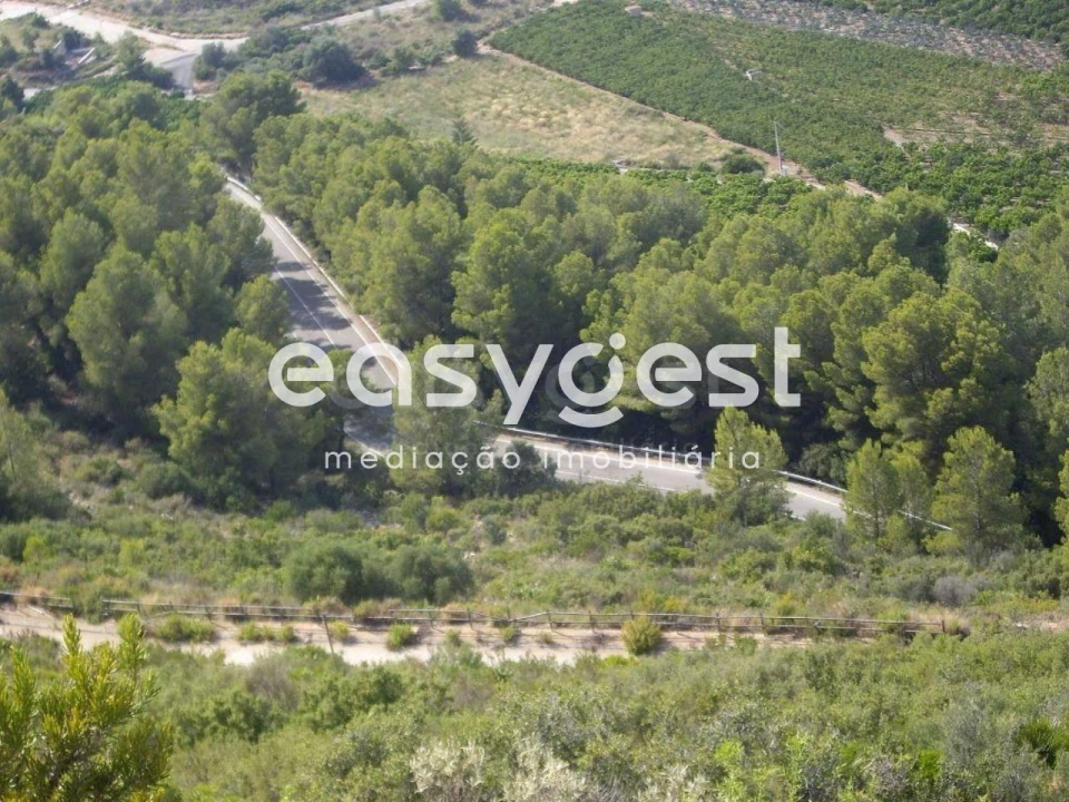 Terreno Agricola ou Rústico para Venda em Pego Foto 3