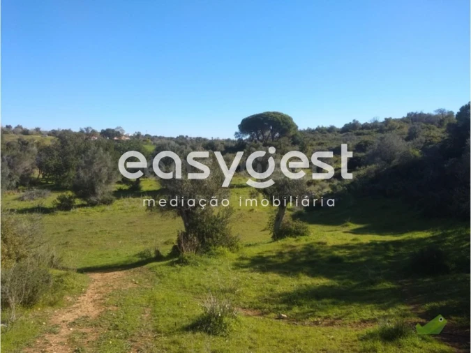 Terreno Agricola ou Rústico para Venda em Pego Foto 5