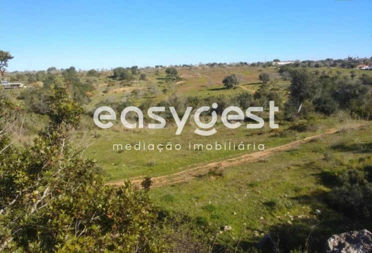 Terreno Agricola ou Rústico para Venda em Pego Foto 6
