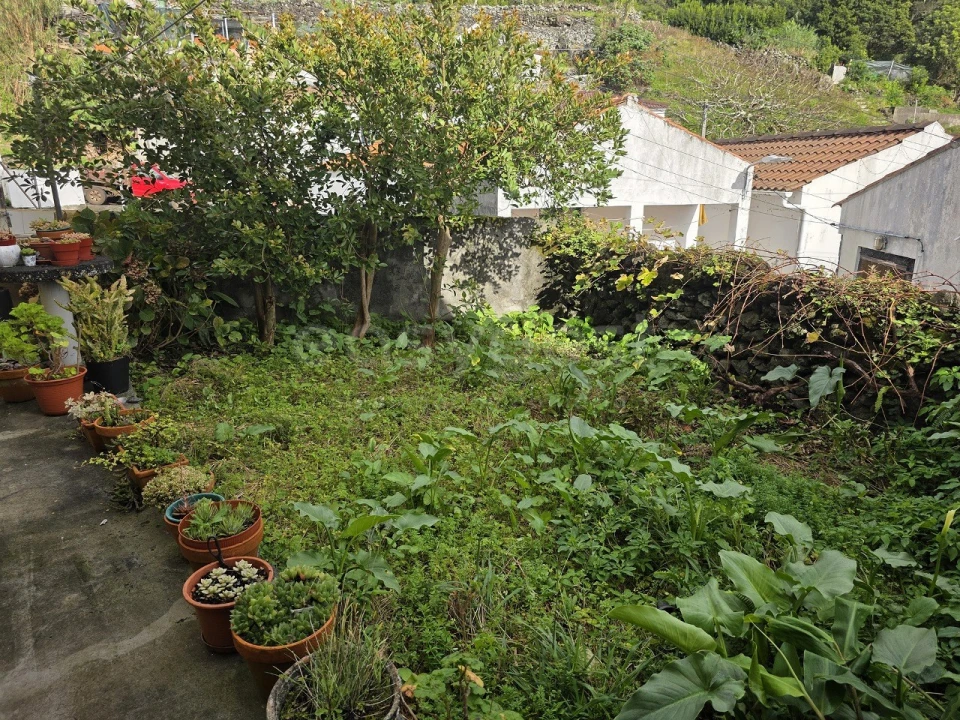 Moradia T3 para Venda em Lajes do Pico Foto 5