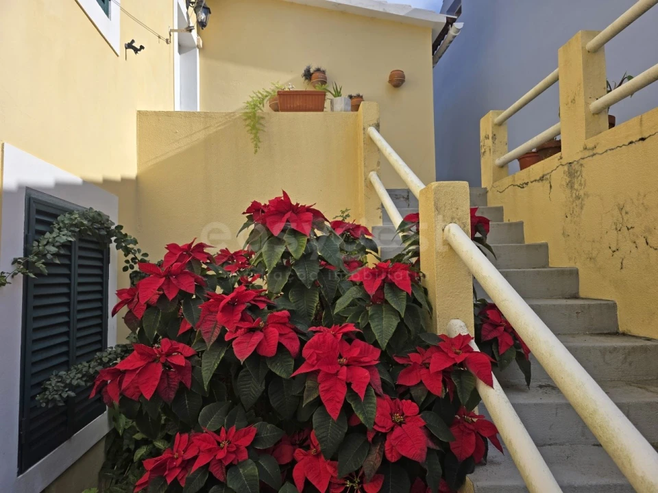 Moradia T3 para Venda em Lajes do Pico Foto 6