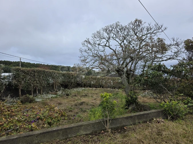 Moradia T3 para Venda em Capelas Foto 10