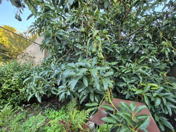 Moradia T2 para Venda em Vila Verde Foto 21