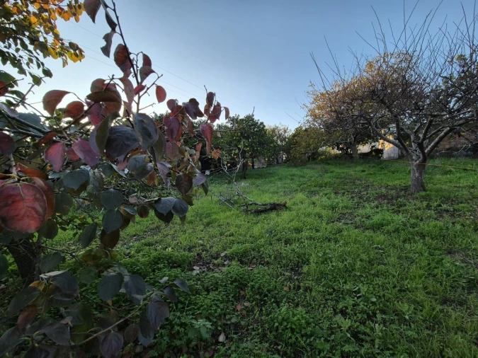 Moradia T2 para Venda em Vila Verde Foto 9