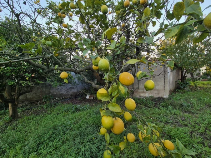 Moradia T2 para Venda em Vila Verde Foto 10