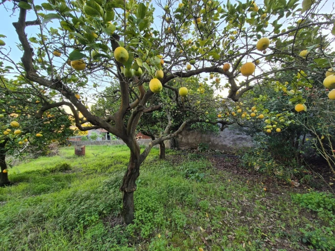 Moradia T2 para Venda em Vila Verde Foto 25