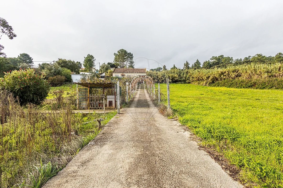 Moradia T2 para Venda em Azambuja Foto 39