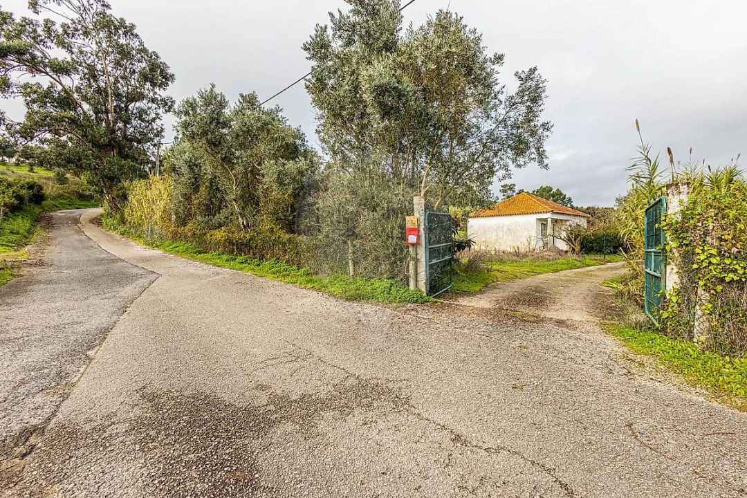 Moradia T2 para Venda em Azambuja Foto 44