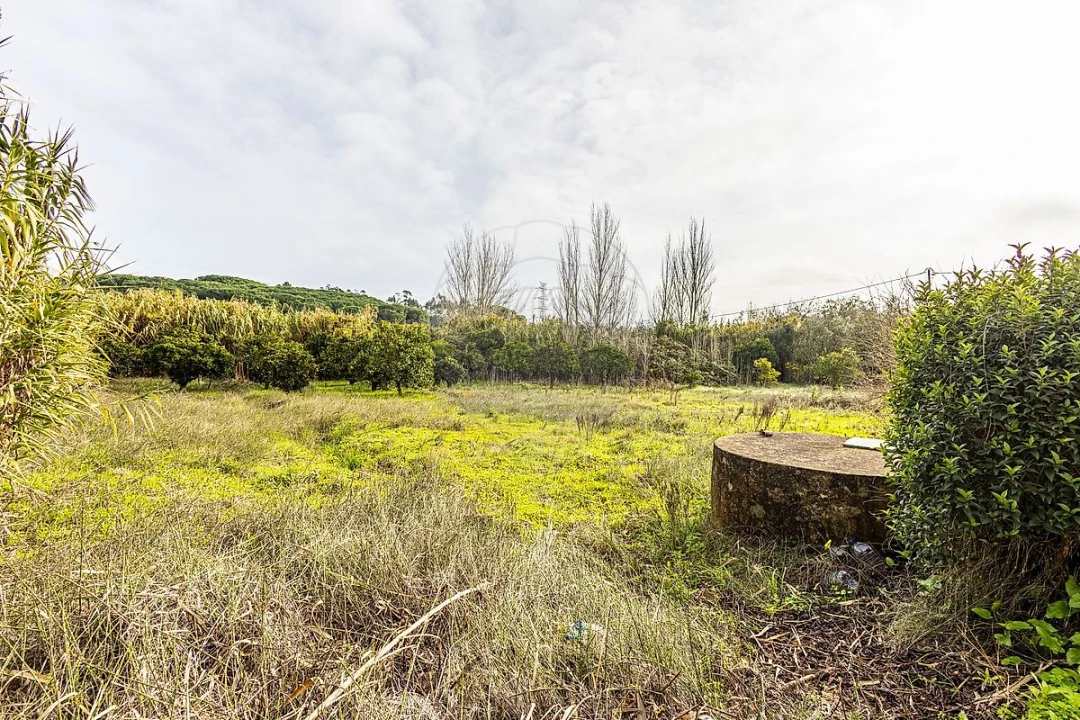 Moradia T2 para Venda em Azambuja Foto 37