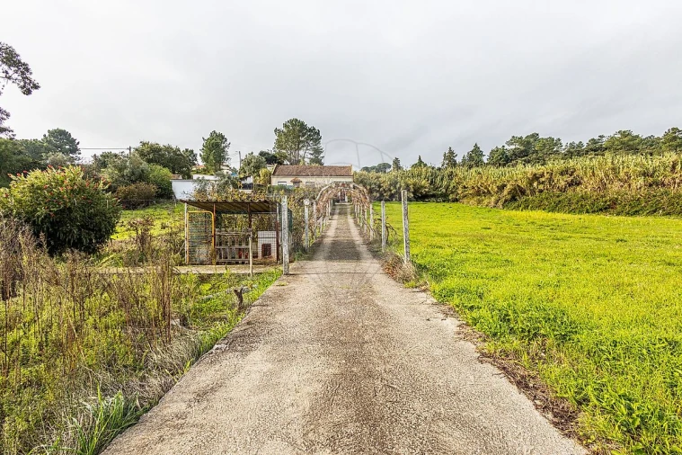 Moradia T2 para Venda em Azambuja Foto 39