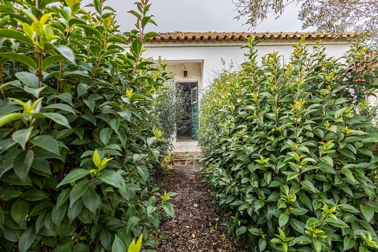 Moradia T2 para Venda em Azambuja Foto 38