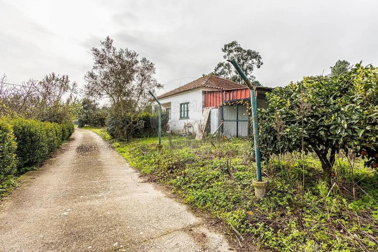 Moradia T2 para Venda em Azambuja Foto 36