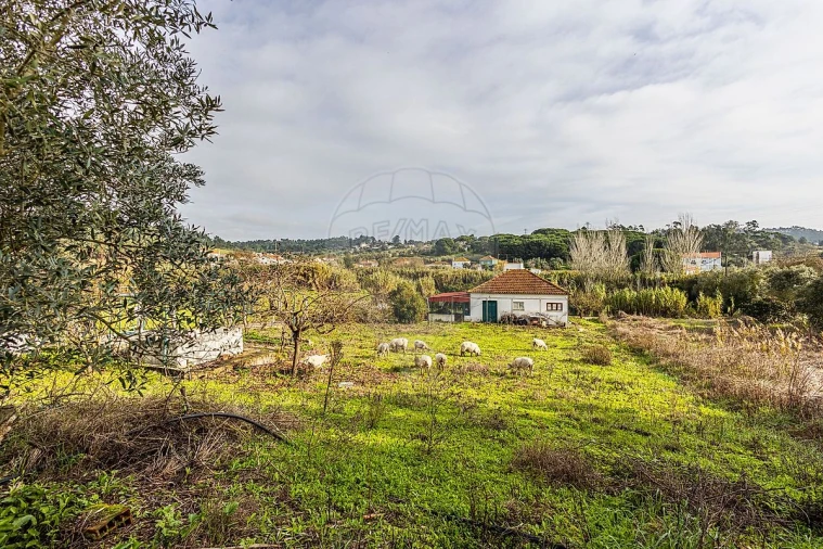 Moradia T2 para Venda em Azambuja Foto 30