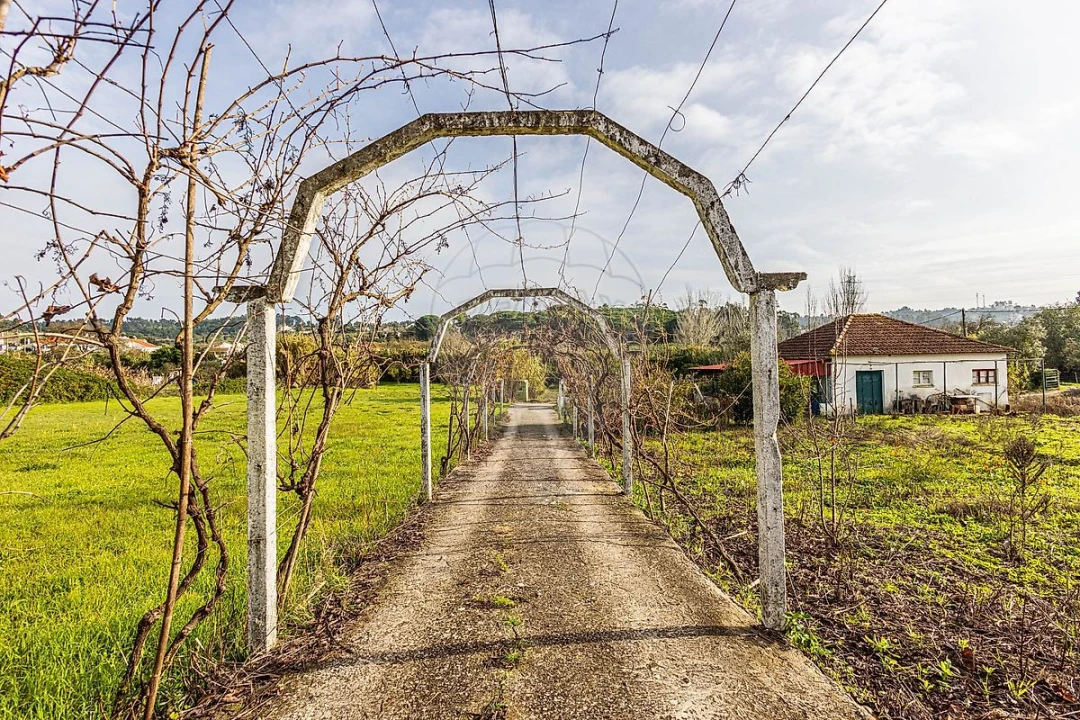 Moradia T2 para Venda em Azambuja Foto 32