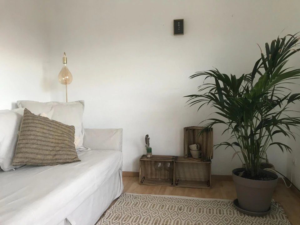 Prédio para Venda em Colares Foto 10