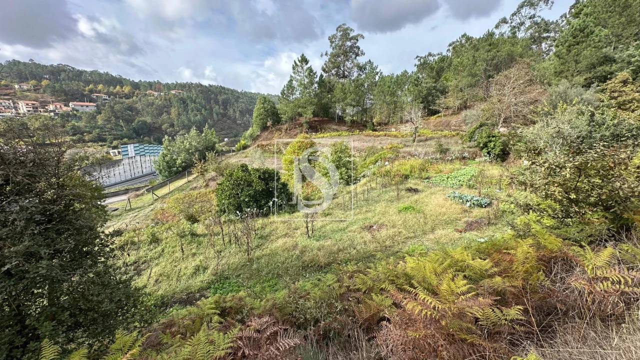 Terreno Agricola ou Rústico para Venda em Padronelo Foto 15