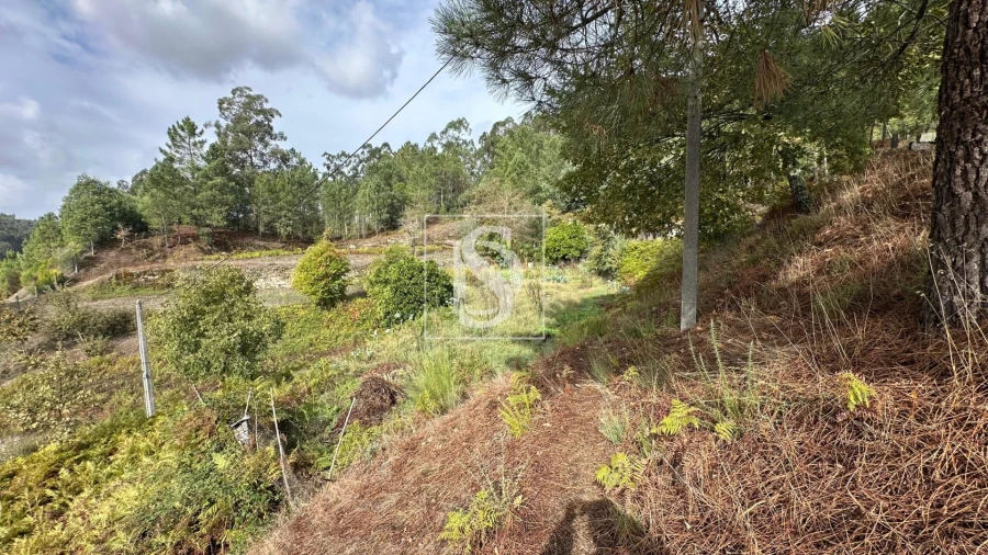 Terreno Agricola ou Rústico para Venda em Padronelo Foto 3