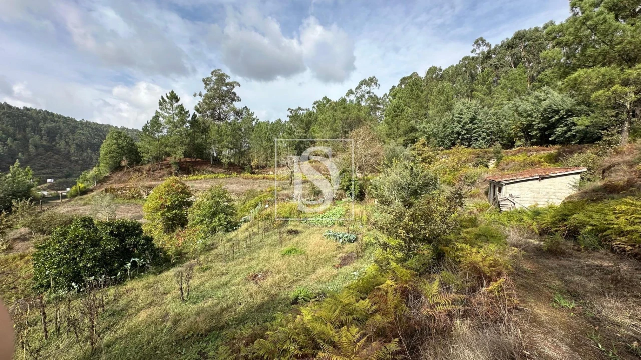 Terreno Agricola ou Rústico para Venda em Padronelo Foto 10