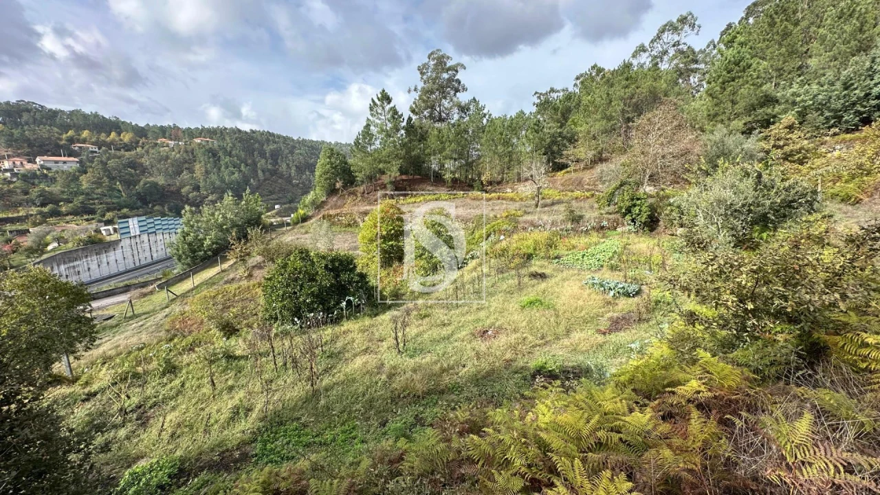 Terreno Agricola ou Rústico para Venda em Padronelo Foto 11