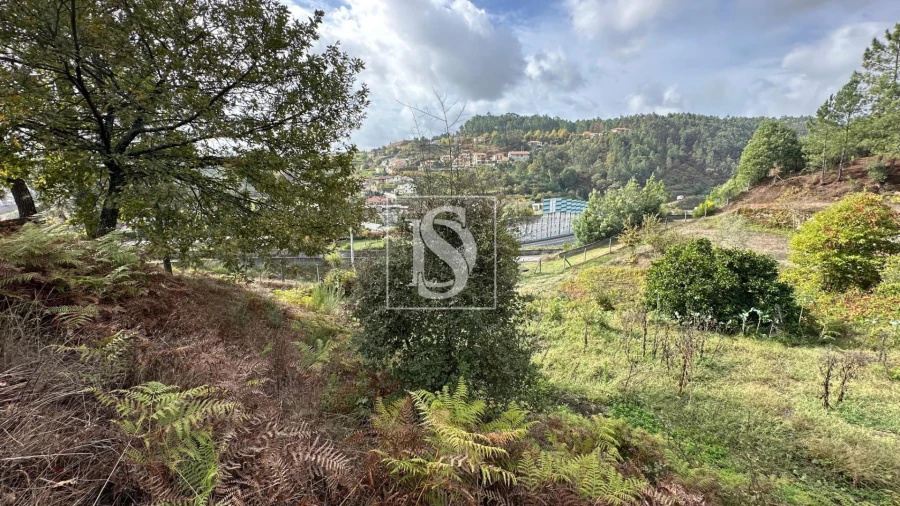 Terreno Agricola ou Rústico para Venda em Padronelo Foto 12