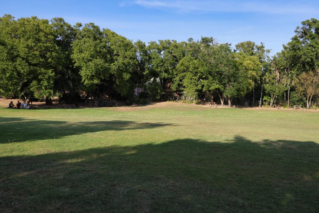 Apartamento T1 para Venda em Estrela Foto 27
