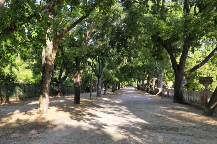 Apartamento T1 para Venda em Estrela Foto 26