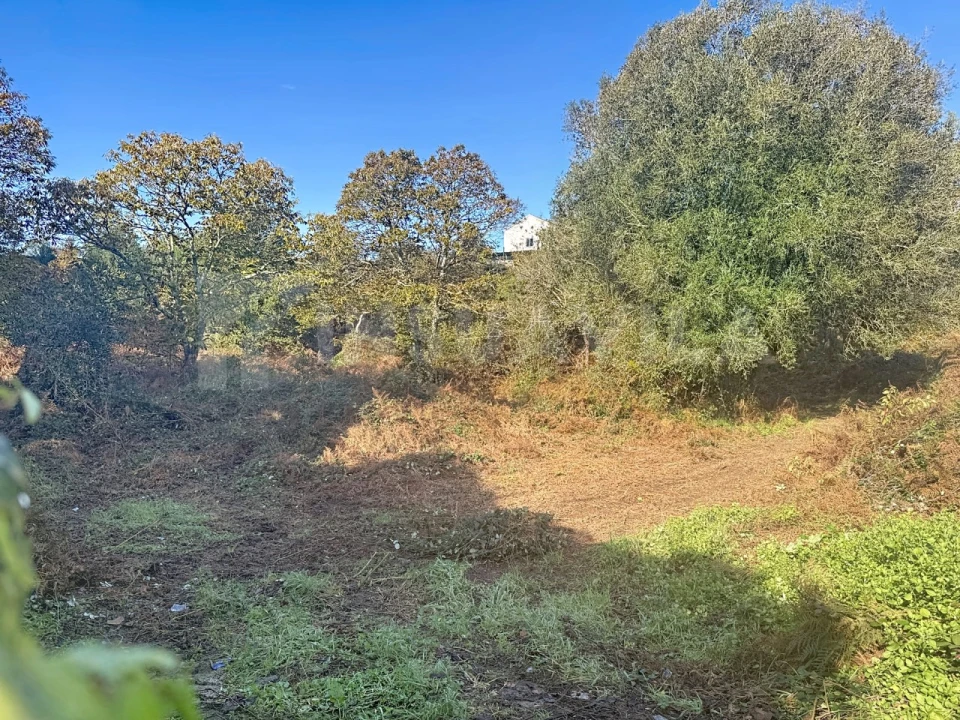 Terreno para Venda em Argela Foto 8