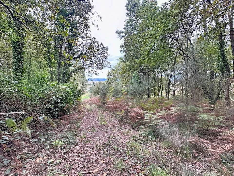 Terreno para Venda em Ganfei Foto 5