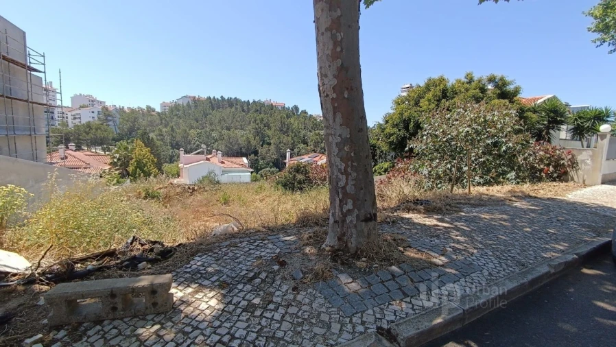 Terreno para Venda em Alcabideche Foto 14