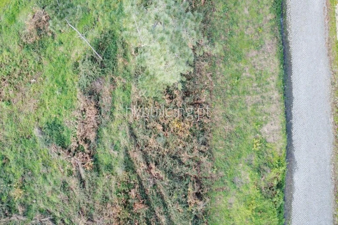 Terreno para Venda em Roriz Foto 1