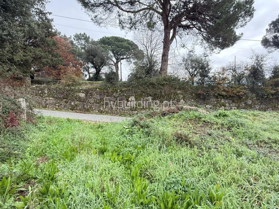 Terreno para Venda em Roriz Foto 12