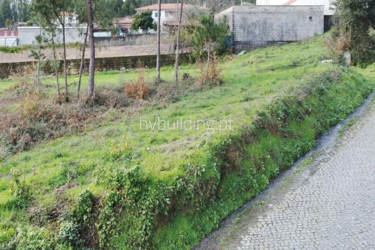 Terreno para Venda em Roriz Foto 8