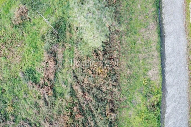 Terreno para Venda em Roriz Foto 1