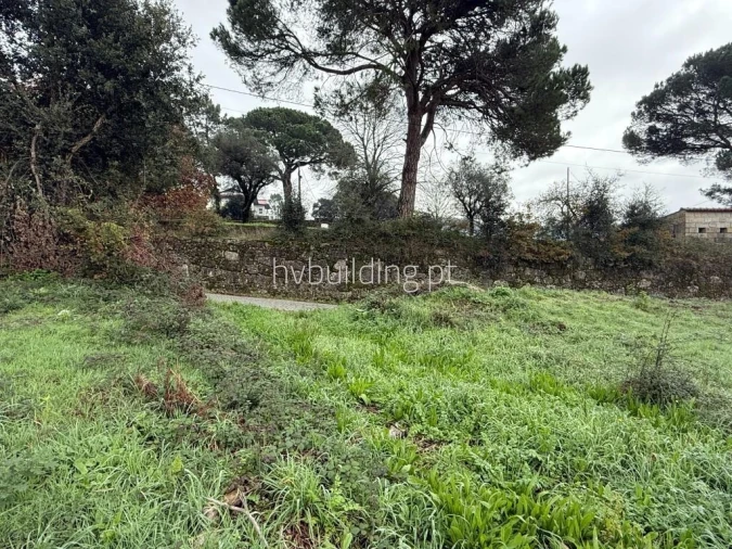 Terreno para Venda em Roriz Foto 11