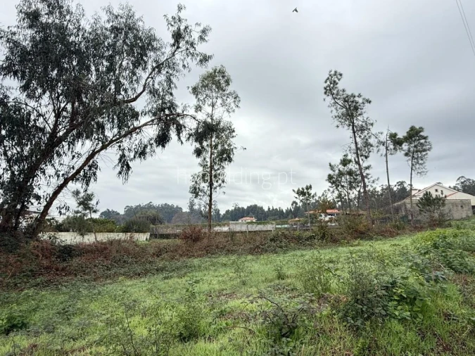 Terreno para Venda em Roriz Foto 5