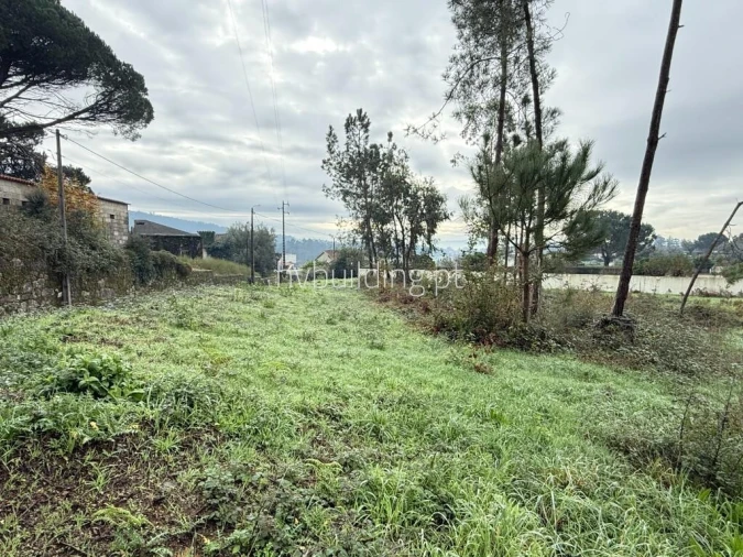 Terreno para Venda em Roriz Foto 3